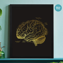 Load image into Gallery viewer, Human Brain Anatomy Print