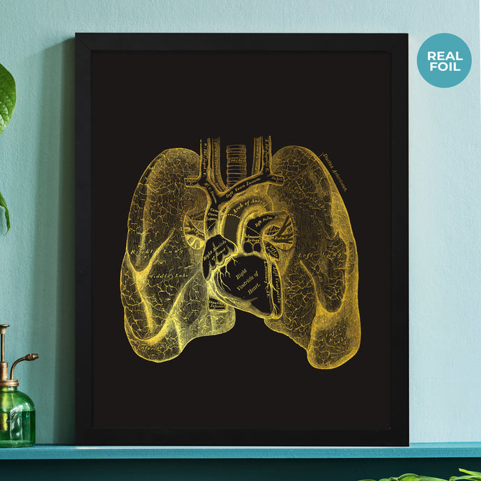 Heart and Lungs Anatomy Print